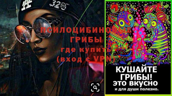 PSILOCYBIN Осинники