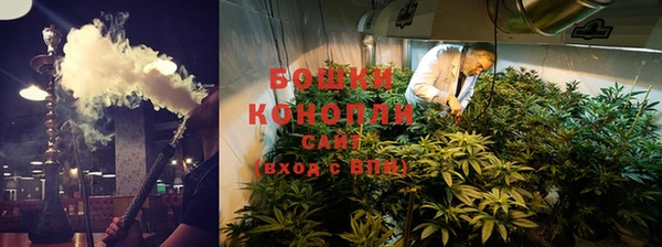 PSILOCYBIN Осинники
