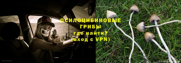 а пвп мука Няндома