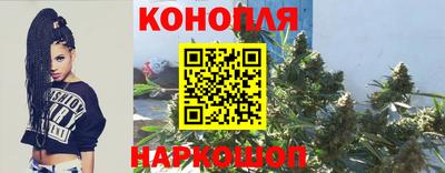 бошки Гусев