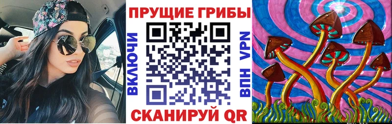 купить наркоту Саки Псилоцибиновые грибы мицелий