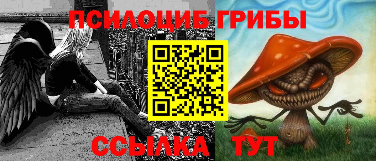 Псилоцибиновые грибы мицелий Саки