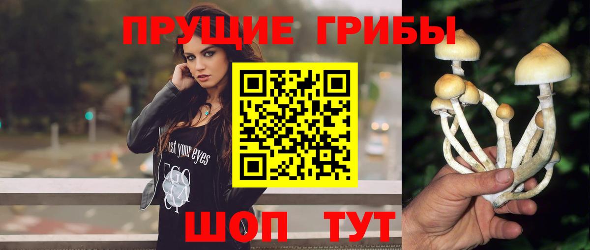 Галлюциногенные грибы GOLDEN TEACHER  где можно купить наркотик  Галлюциногенные грибы Cubensis  Саки 